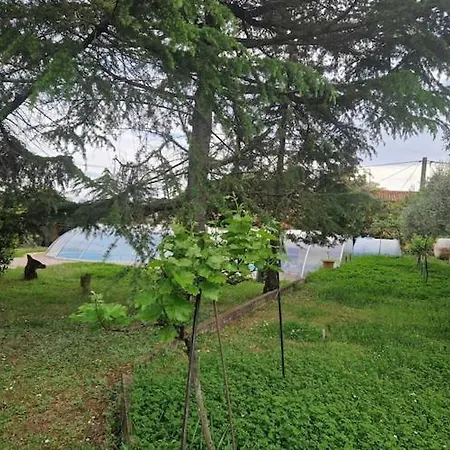 Holiday home Spacious In Verteneglio Brtonigla