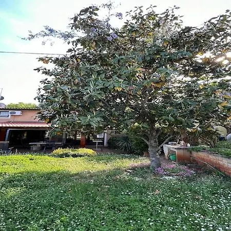 Holiday home Spacious In Verteneglio *