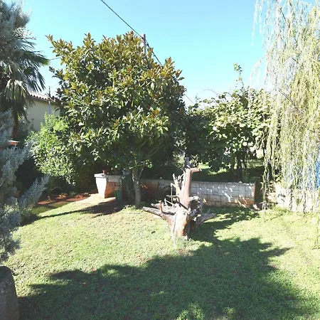 Spacious In Verteneglio *